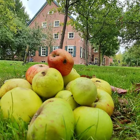 Gulfhof Boomgaarden 7 Jannis Appartamento Krummhörn