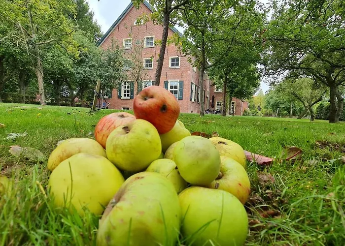 Gulfhof Boomgaarden Boomgaarden 7 Jannis Lejlighed Krummhörn